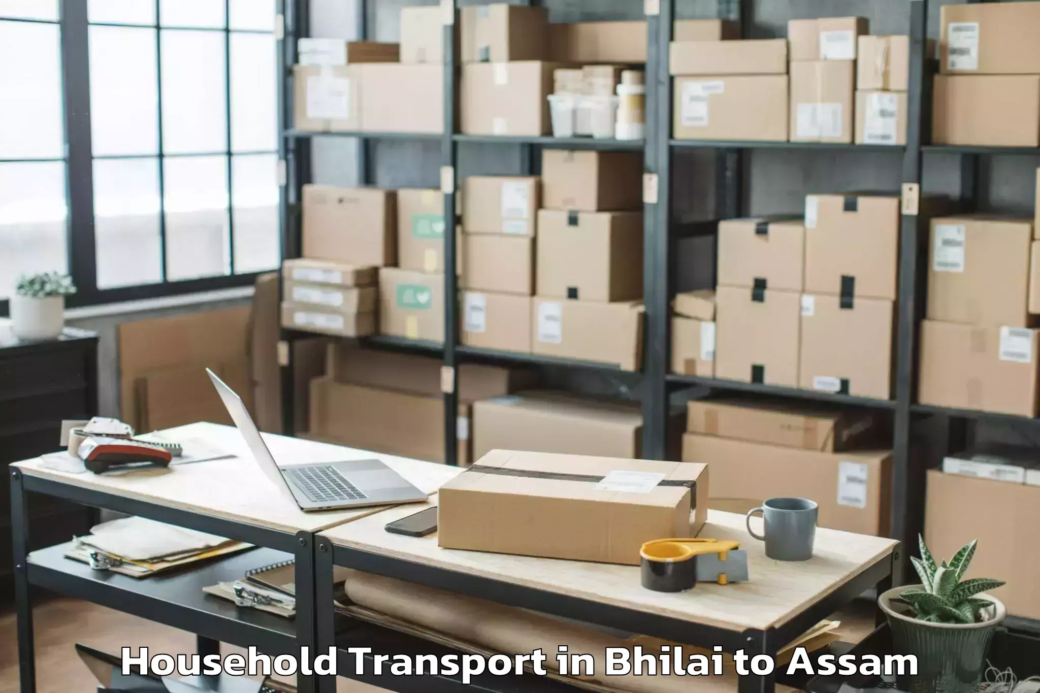 Trusted Bhilai to Pandu Household Transport